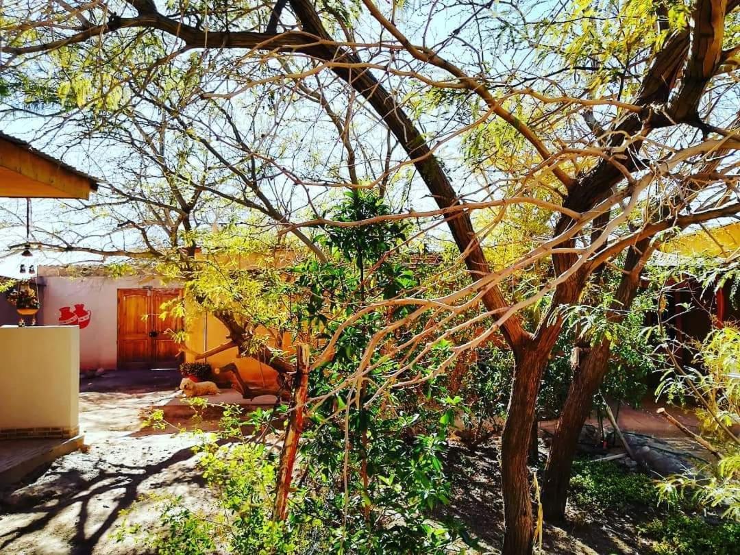 Hostal Candelaria ซานเปโดร เด อาตากามา ภายนอก รูปภาพ